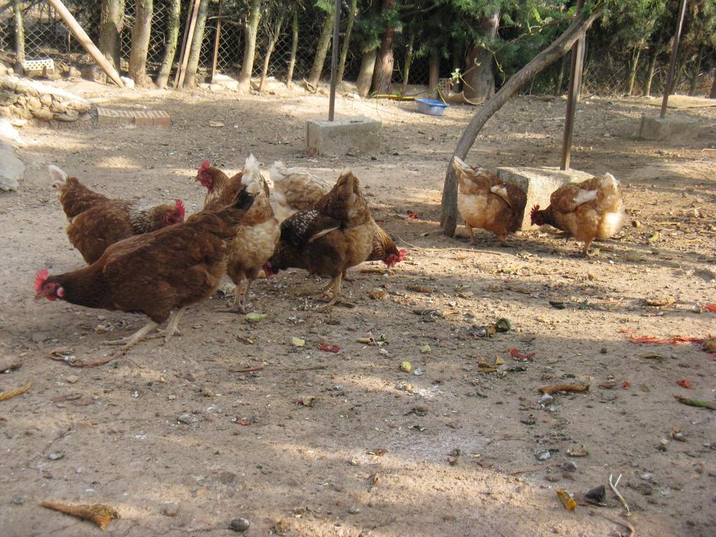 מלון Villanueva del Rosario Finca Los Pinos מראה חיצוני תמונה