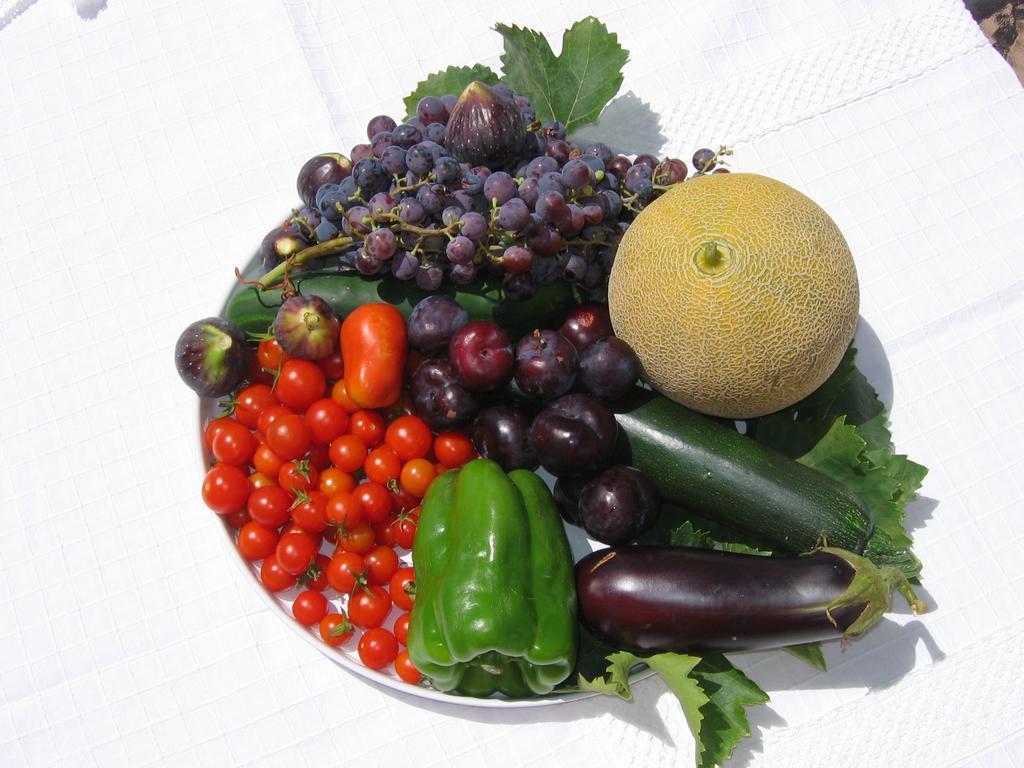 מלון Villanueva del Rosario Finca Los Pinos מראה חיצוני תמונה